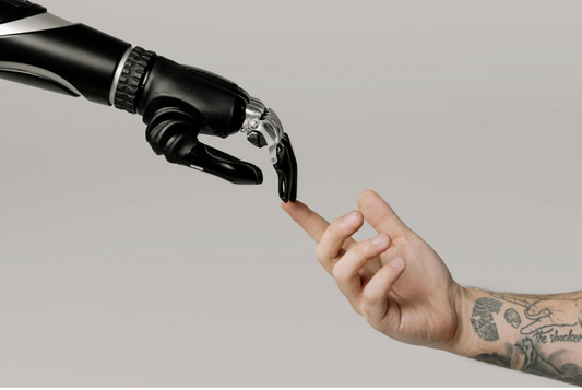 Companionship in AI: Where Do We Draw The Line